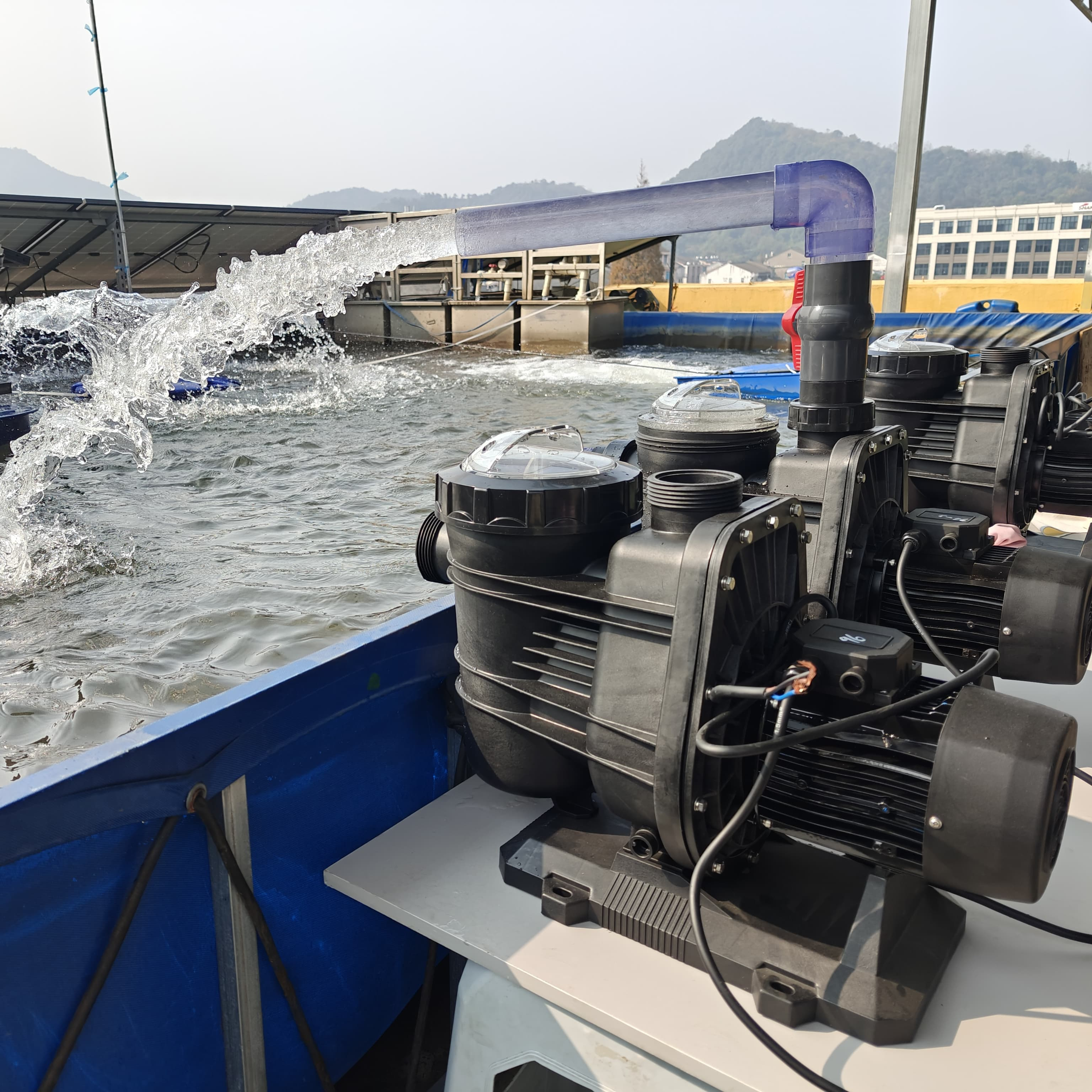 DC24/48/72/96/AC220/DC300 Dc S - مراجعة Solar Pool Pump Kit وسعره