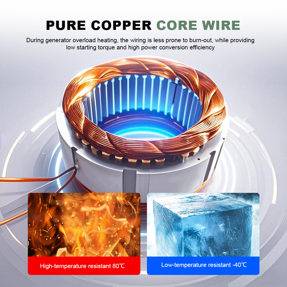 EU United States Delivery 3000 - مراجعة Wind Solar Hybrid Kit وسعره